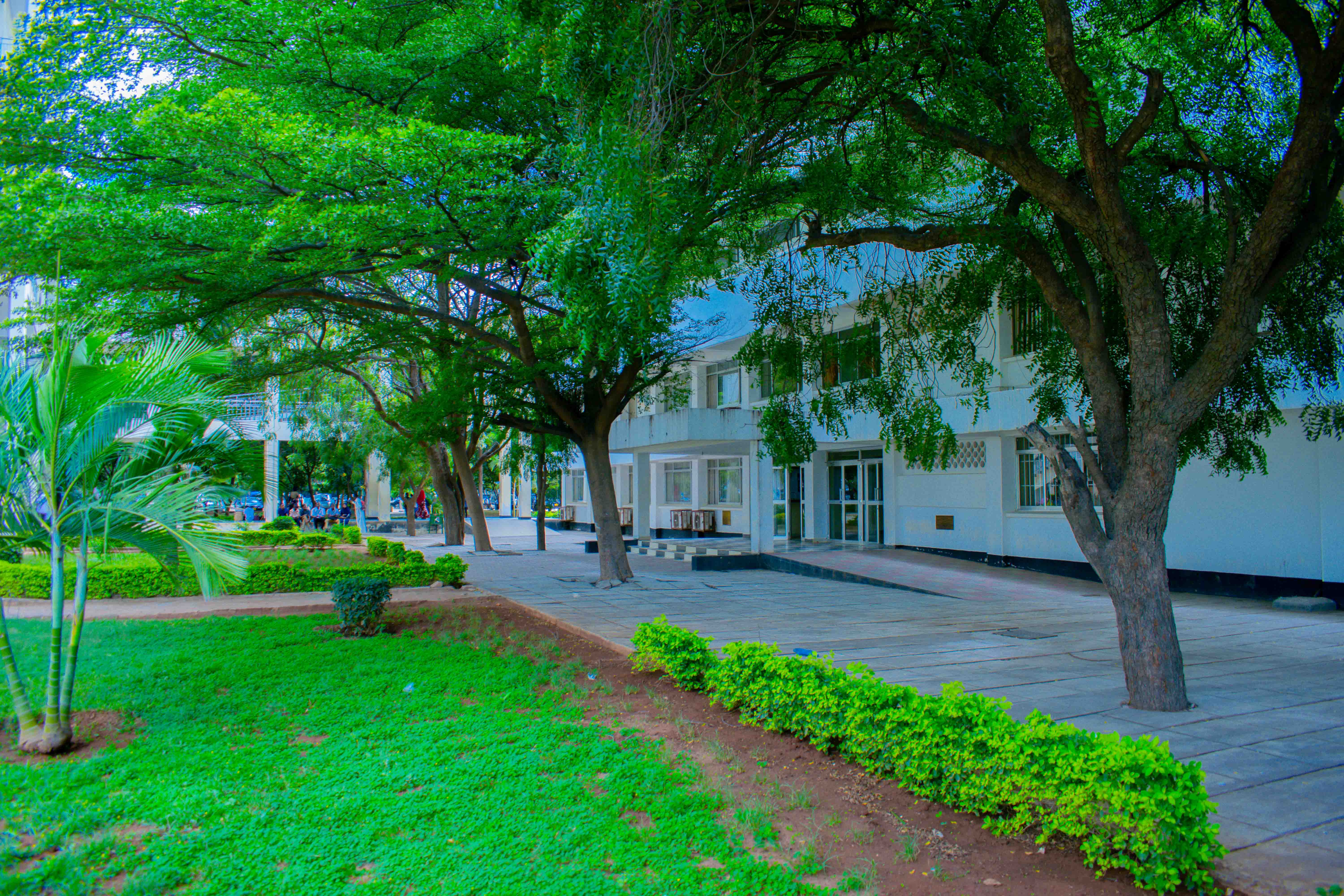 Hostel